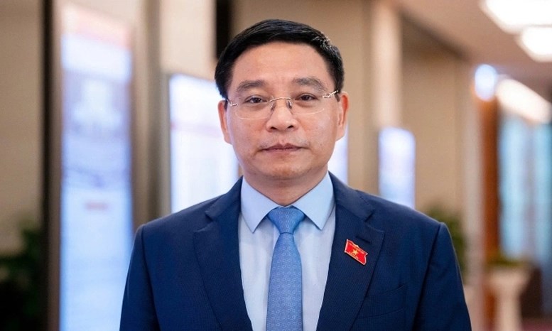 Phân công công tác của Thủ tướng Chính phủ và các Phó Thủ tướng Chính phủ - ảnh 6