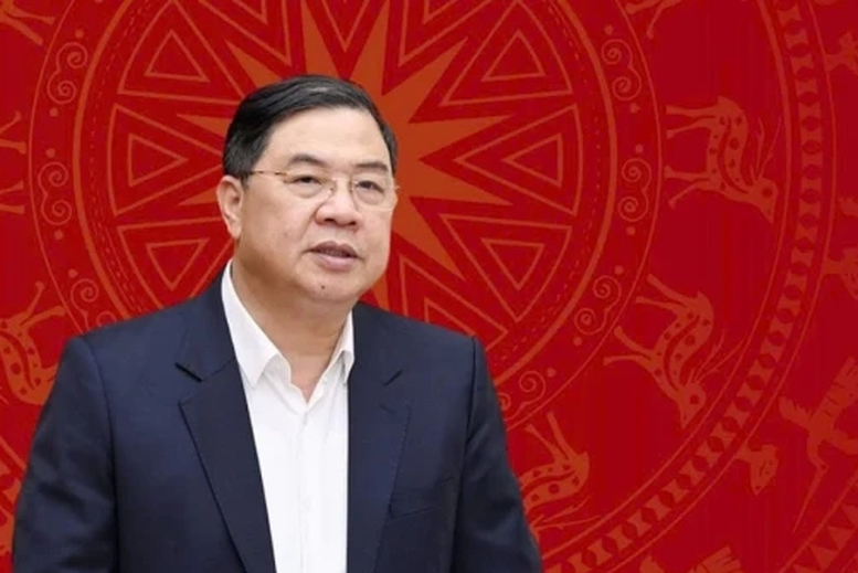 Phân công công tác của Thủ tướng Chính phủ và các Phó Thủ tướng Chính phủ - ảnh 2