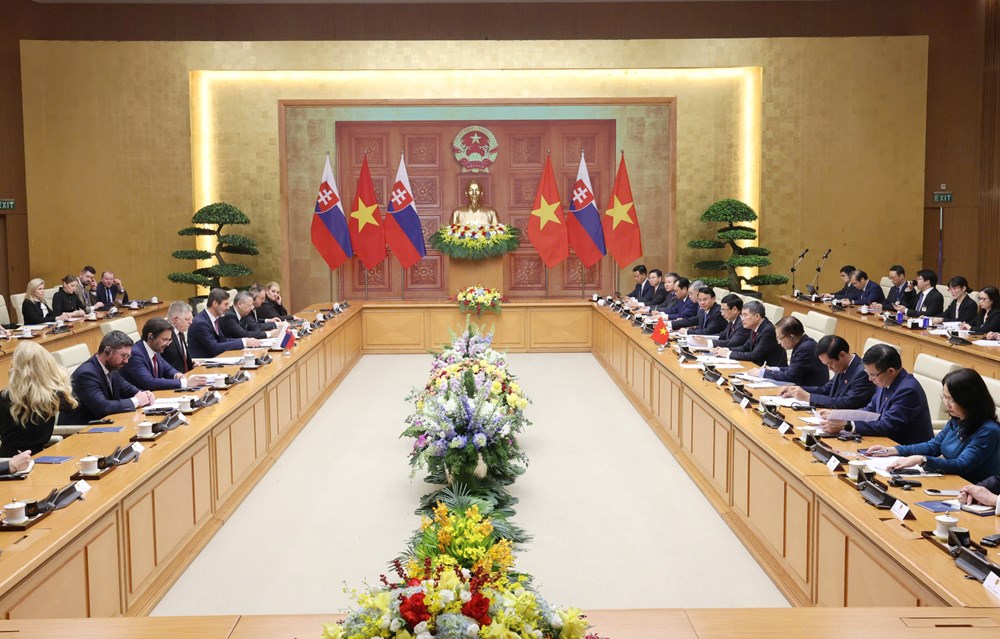 Việt Nam – Slovakia nâng cấp lên đối tác chiến lược, thúc đẩy hợp tác văn hoá, du lịch - ảnh 2