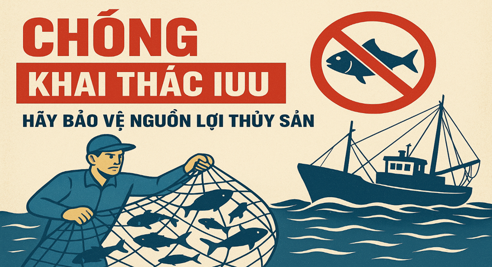 Thủ tướng yêu cầu triển khai quyết liệt các nhiệm vụ, giải pháp cấp bách, trọng tâm chống khai thác IUU - ảnh 1