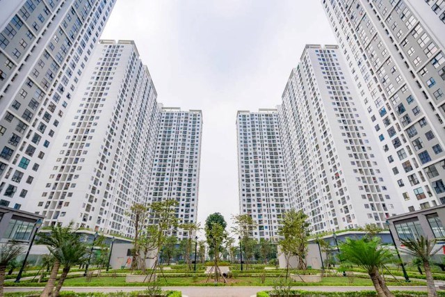 Thủ tướng yêu cầu Hà Nội làm điểm trước, tiên phong phát triển nhà ở cho thuê  - ảnh 1