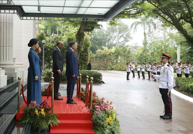 Lễ đón Tổng Bí thư, Chủ tịch nước Tô Lâm và phu nhân thăm cấp Nhà nước CH Singapore - ảnh 3