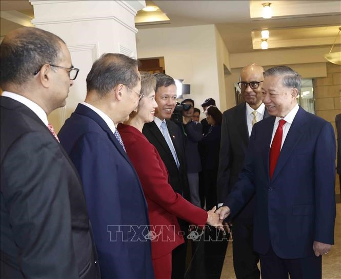 Lễ đón Tổng Bí thư, Chủ tịch nước Tô Lâm và phu nhân thăm cấp Nhà nước CH Singapore - ảnh 5