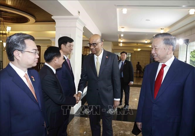 Lễ đón Tổng Bí thư, Chủ tịch nước Tô Lâm và phu nhân thăm cấp Nhà nước CH Singapore - ảnh 6