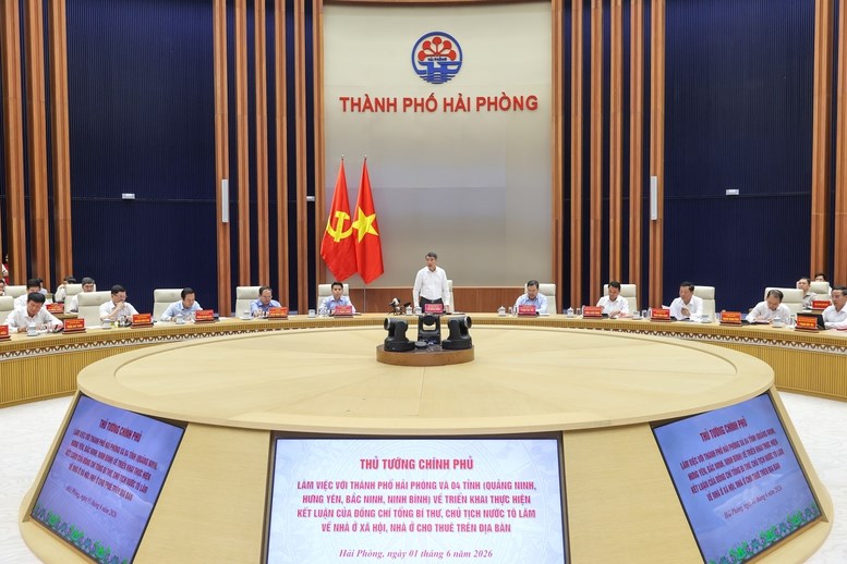 Thủ tướng: Chủ trương đã rất rõ, các địa phương phải chủ động triển khai nhà ở cho thuê - ảnh 1
