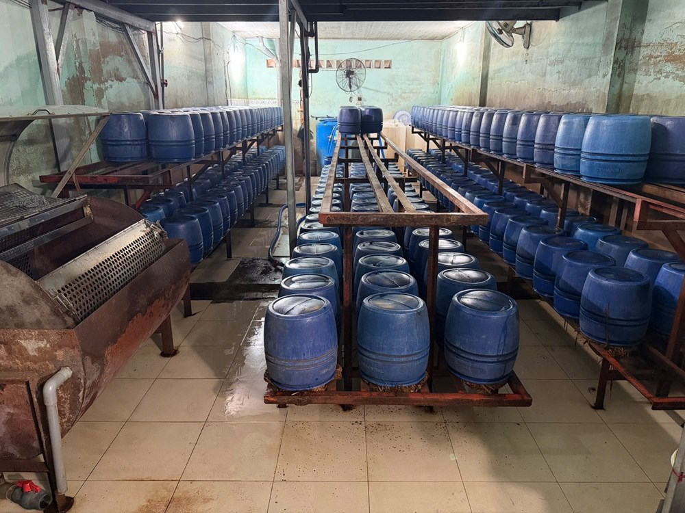 Sản xuất hơn 1.000 tấn giá đỗ bằng hóa chất, 4 người bị khởi tố - ảnh 2