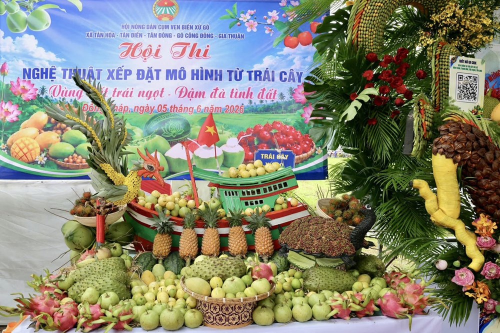 Lễ hội Trái cây Đồng Tháp: Hướng tới là điểm hẹn văn hóa và du lịch thường niên của khu vực - ảnh 5