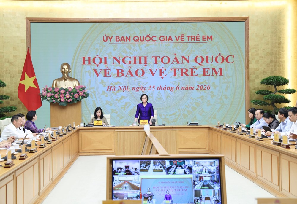 Xác định bảo vệ trẻ em là nhiệm vụ ưu tiên trong chiến lược phát triển con người Việt Nam - ảnh 1