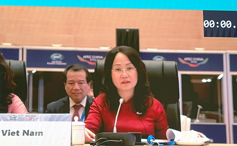 Việt Nam đề xuất nhiều giải pháp quan trọng tại Hội nghị Bộ trưởng Du lịch APEC lần thứ 13 - ảnh 2