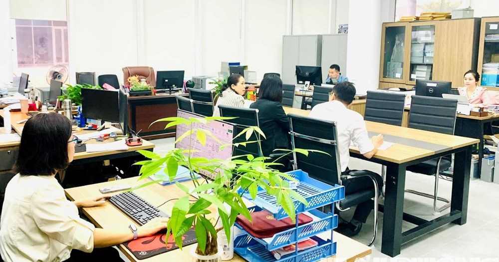 Quy định mới về vị trí việc làm viên chức áp dụng từ 1.7 - ảnh 1