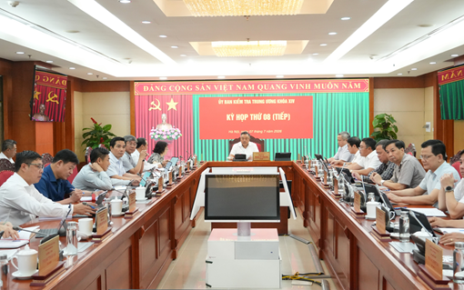  Khai trừ Đảng nguyên Phó Tổng Giám đốc ACV Đỗ Tất Bình - ảnh 1