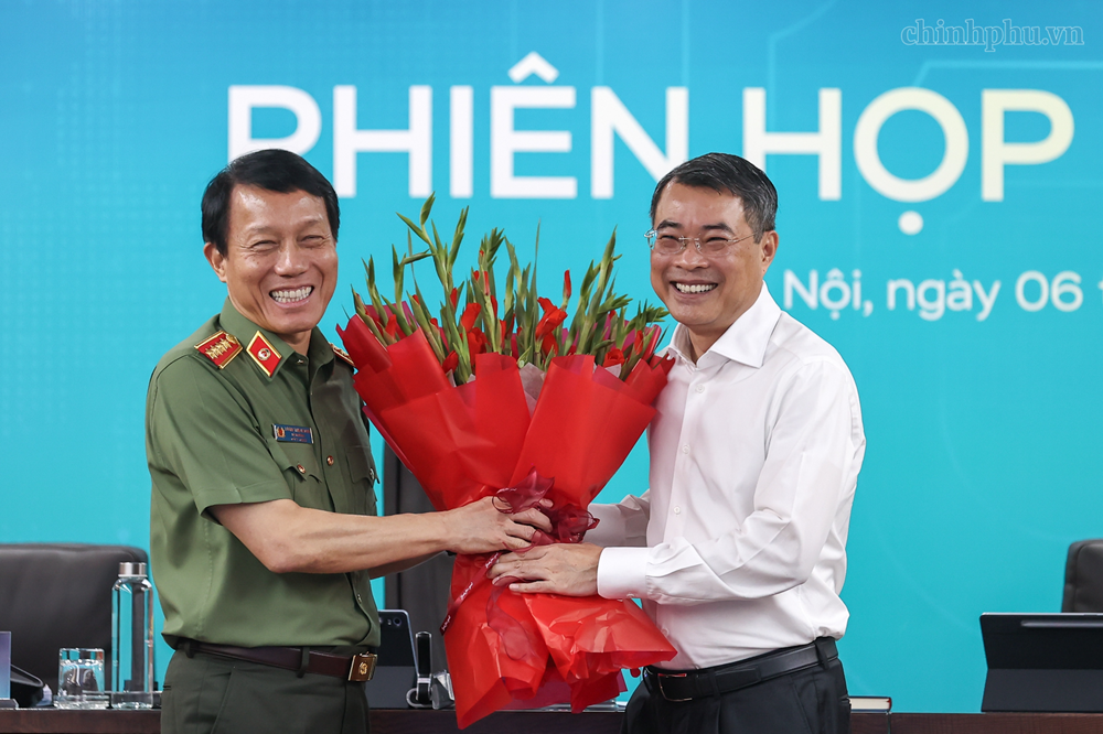 Thủ tướng: Tập trung xây dựng, đào tạo, phát triển lực lượng chuyên sâu về an ninh mạng - ảnh 3