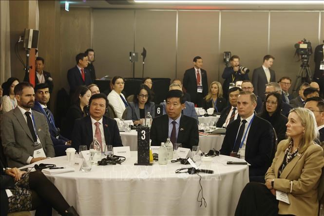 Tổng Bí thư, Chủ tịch nước Tô Lâm dự Hội nghị bàn tròn doanh nghiệp New Zealand - Việt Nam - ảnh 5