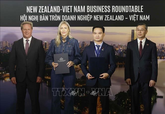 Tổng Bí thư, Chủ tịch nước Tô Lâm dự Hội nghị bàn tròn doanh nghiệp New Zealand - Việt Nam - ảnh 7