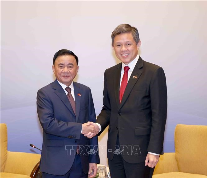 Lễ đón Ủy viên Bộ Chính trị, Thường trực Ban Bí thư Trần Cẩm Tú thăm chính thức Singapore - ảnh 1
