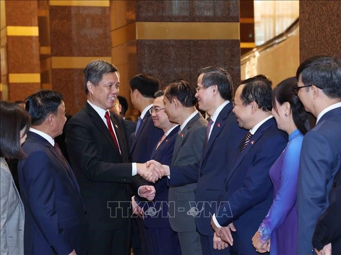 Lễ đón Ủy viên Bộ Chính trị, Thường trực Ban Bí thư Trần Cẩm Tú thăm chính thức Singapore - ảnh 3