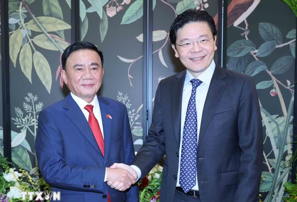 Đẩy mạnh quan hệ kênh Đảng đi vào chiều sâu, định hướng chung cho quan hệ Việt Nam – Singapore - ảnh 1