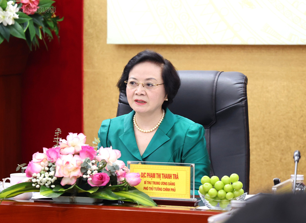 Không thể chỉ ban hành đề án rồi để địa phương tự triển khai - ảnh 1