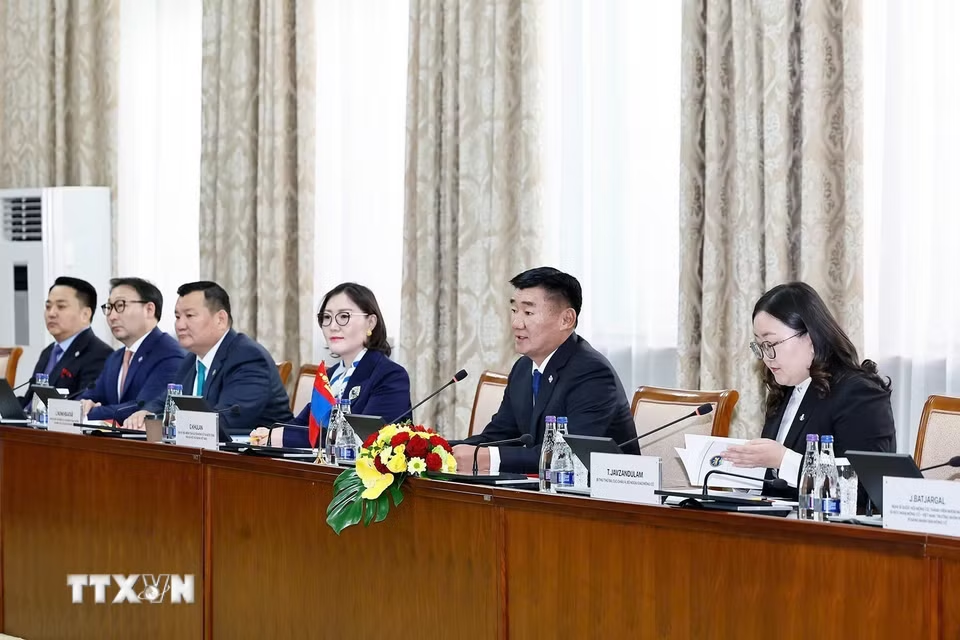 Chủ tịch Quốc hội Trần Thanh Mẫn hội đàm với Chủ tịch Quốc hội Mông Cổ - ảnh 3