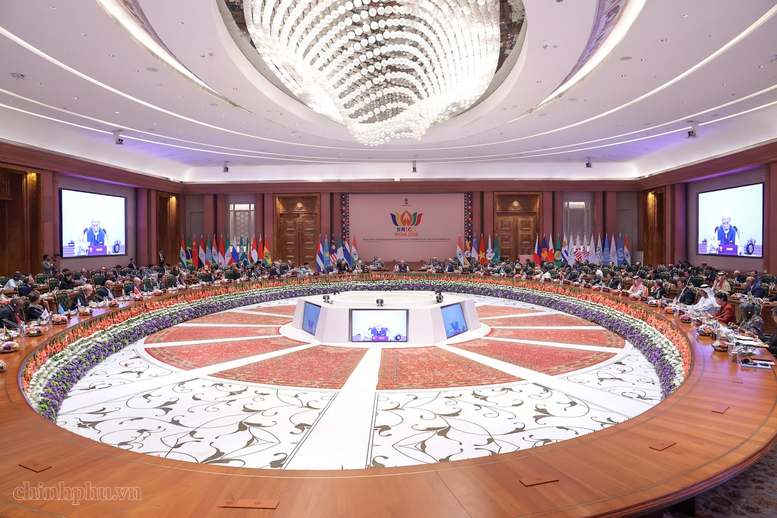 Thủ tướng tham dự Hội nghị thượng đỉnh BRICS lần thứ 18 tại Ấn Độ - ảnh 3