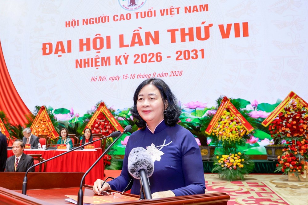 Ông Nguyễn Thanh Bình tái đắc cử Chủ tịch Hội Người cao tuổi Việt Nam - ảnh 1