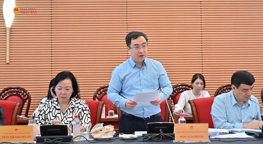 Hoàn thiện thể chế cho phát triển công nghiệp văn hóa là rất cấp thiết - ảnh 4