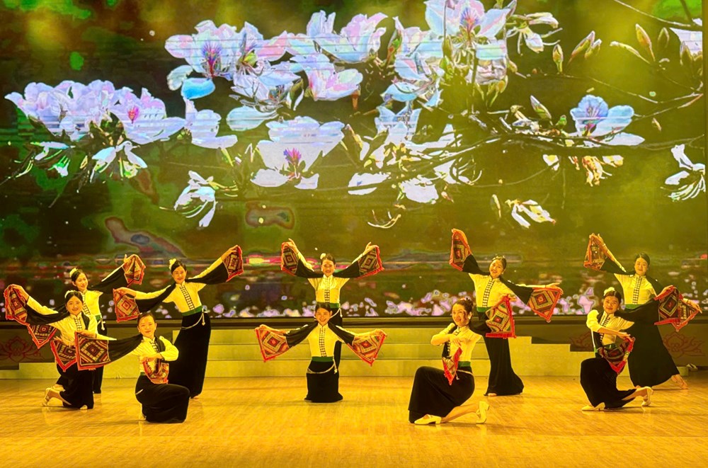 Nghệ thuật múa tỉnh Sơn La cần được bảo tồn và phát triển hơn nữa - ảnh 3