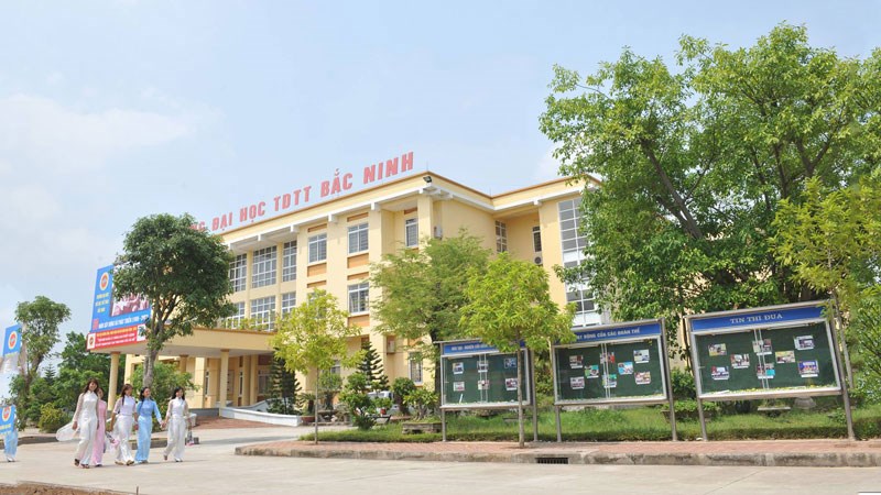 Nghệ thuật và Thể dục, thể thao là những lĩnh vực đặc thù khi sắp xếp, tổ chức lại cơ sở giáo dục nghề nghiệp công lập  - ảnh 1