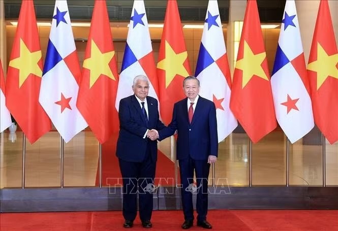 Tổng Bí thư, Chủ tịch nước Tô Lâm chủ trì Lễ đón Tổng thống Panama - ảnh 5