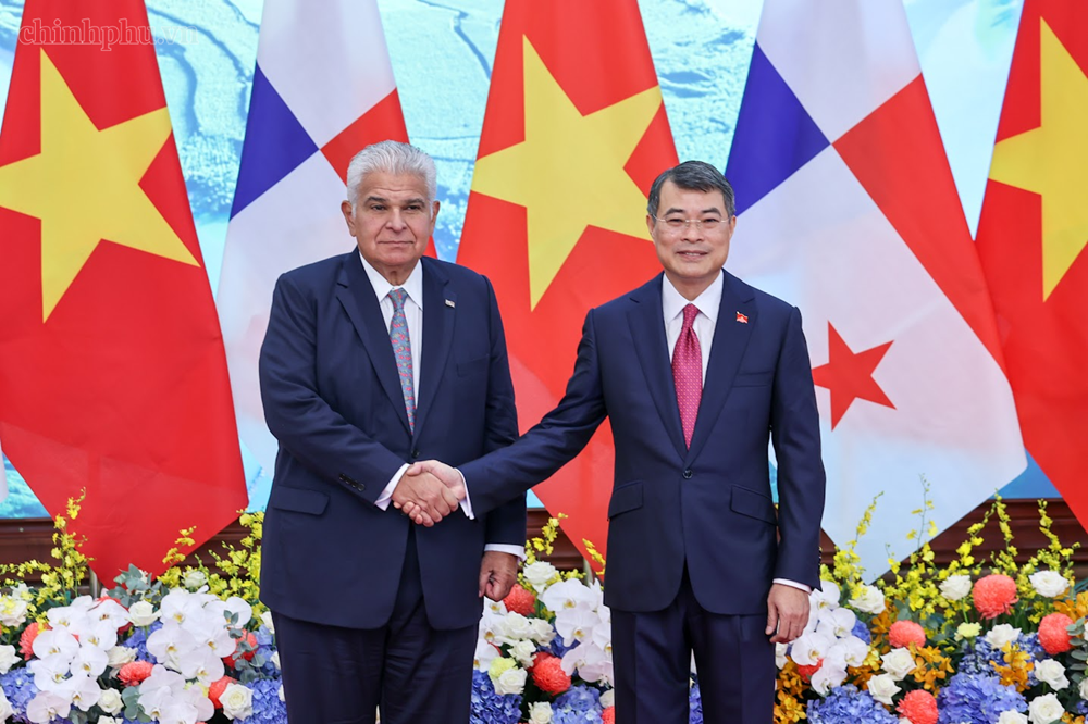 Thủ tướng Lê Minh Hưng và Tổng thống Cộng hòa Panama nhất trí thúc đẩy hợp tác văn hóa, du lịch - ảnh 1