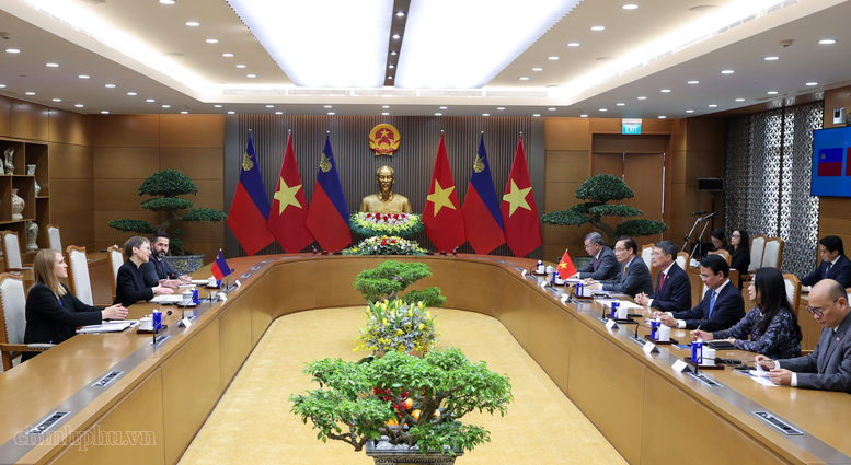 Sớm hoàn tất các thủ tục phê chuẩn Hiệp định Thương mại tự do Việt Nam - EFTA - ảnh 2