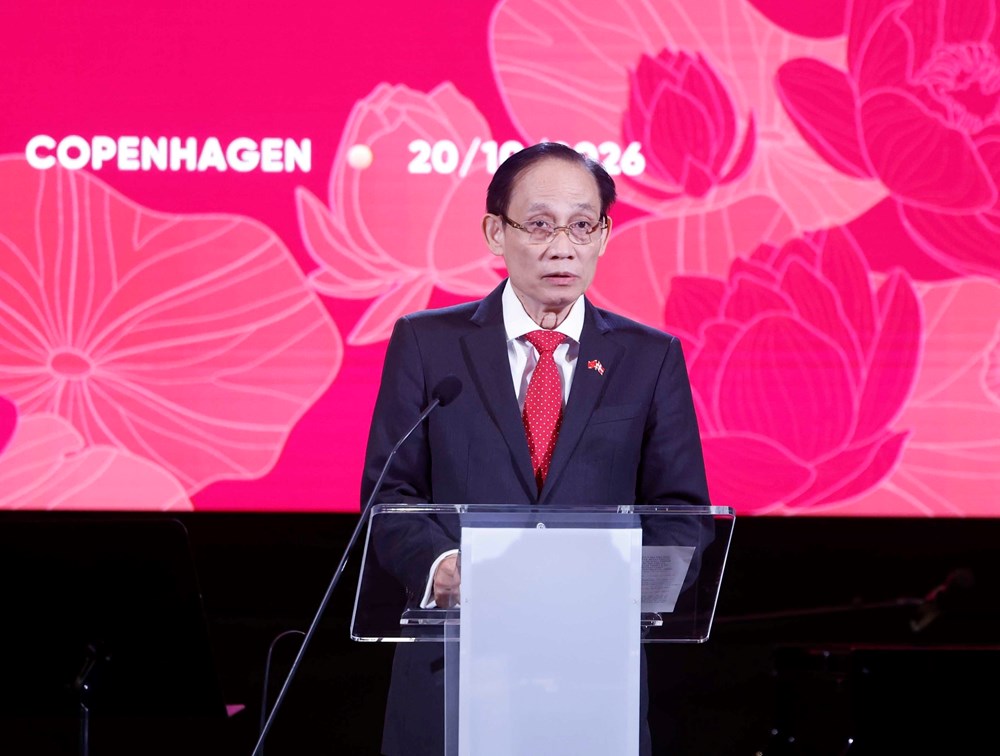Chương trình Hòa nhạc hữu nghị đặc biệt chào mừng kỷ niệm 55 năm thiết lập quan hệ ngoại giao Việt Nam - Đan Mạch - ảnh 3