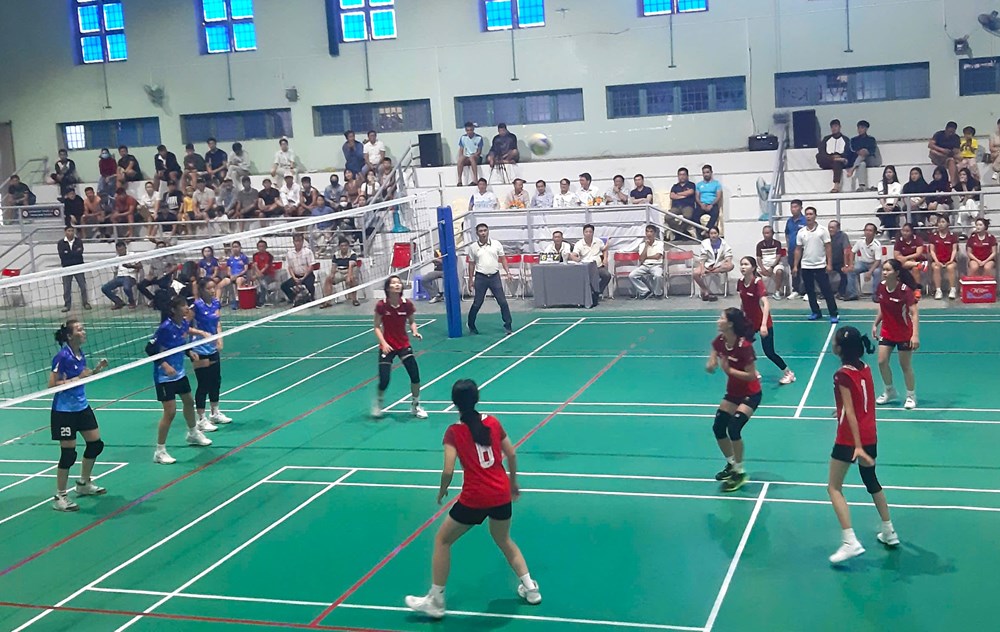 150 VĐV tham gia tranh tài Giải Bóng chuyền nam nữ tỉnh Bình Định năm 2024 - ảnh 2