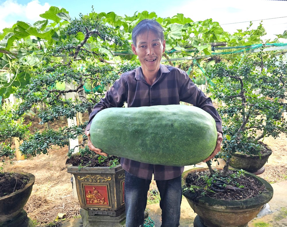 Về Xứ Nẫu, trải nghiệm làng bí đao khổng lồ - ảnh 2
