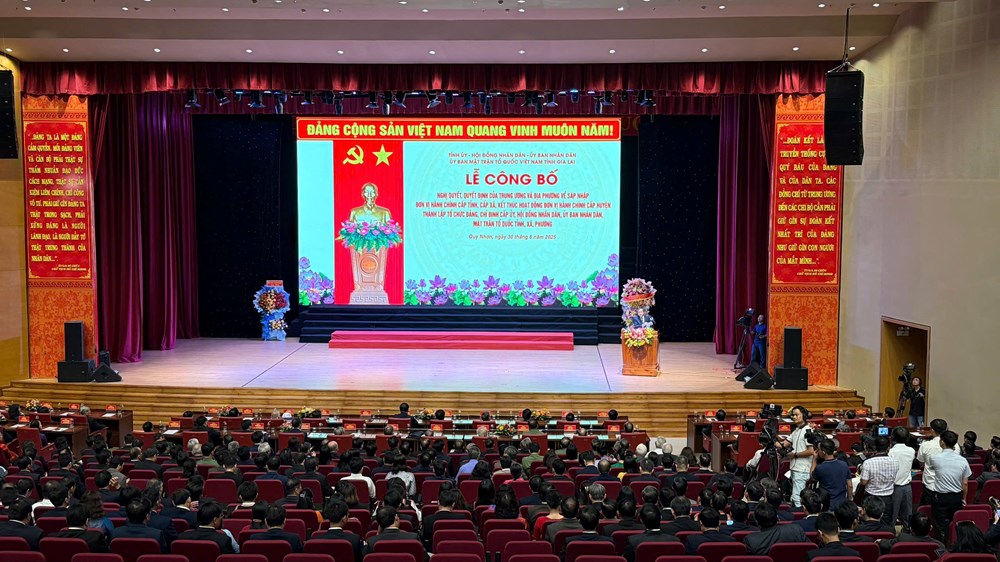 Công bố các nghị quyết, quyết định quan trọng của tỉnh Gia Lai (mới) - ảnh 3