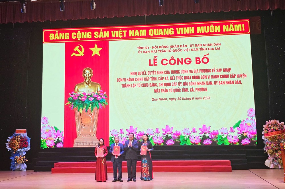 Công bố các nghị quyết, quyết định quan trọng của tỉnh Gia Lai (mới) - ảnh 6