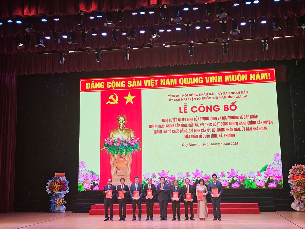 Công bố các nghị quyết, quyết định quan trọng của tỉnh Gia Lai (mới) - ảnh 7