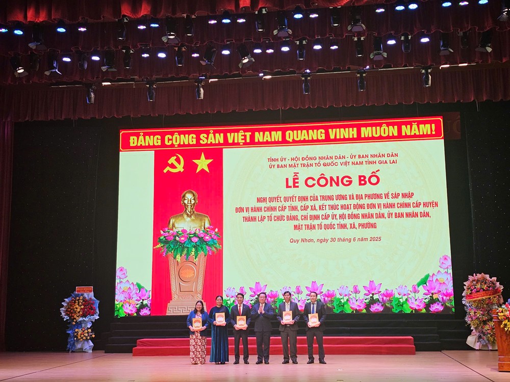 Công bố các nghị quyết, quyết định quan trọng của tỉnh Gia Lai (mới) - ảnh 8