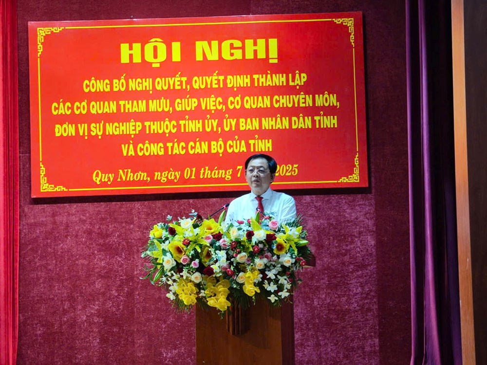 Gia Lai công bố nghị quyết, quyết định thành lập các cơ quan tham mưu, giúp việc - ảnh 1