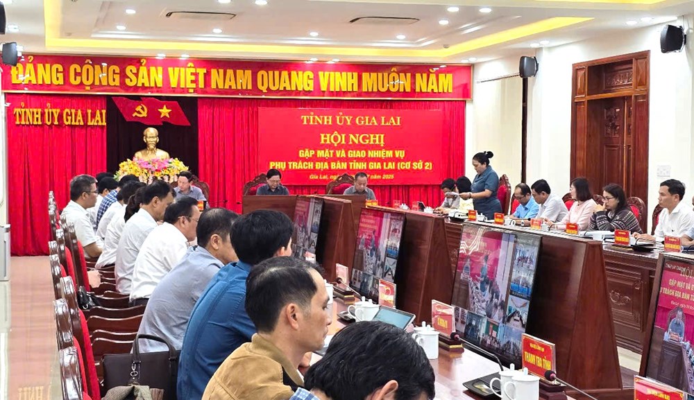 Thành lập bộ máy phụ trách cơ sở 2 để quản lý 77 xã, phường Gia Lai (cũ) - ảnh 1