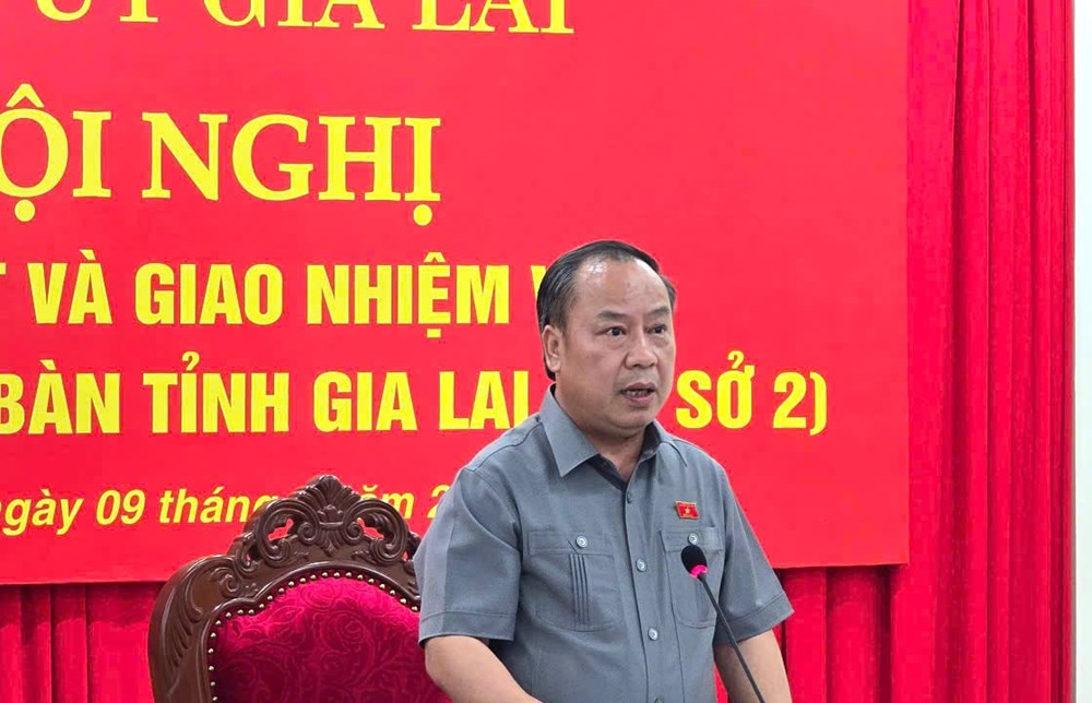 Thành lập bộ máy phụ trách cơ sở 2 để quản lý 77 xã, phường Gia Lai (cũ) - ảnh 2