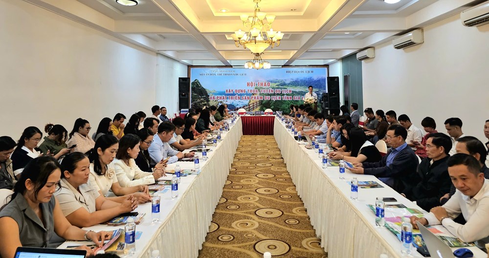 Gia Lai tìm giải pháp định hướng phát triển du lịch “rừng – biển” - ảnh 1