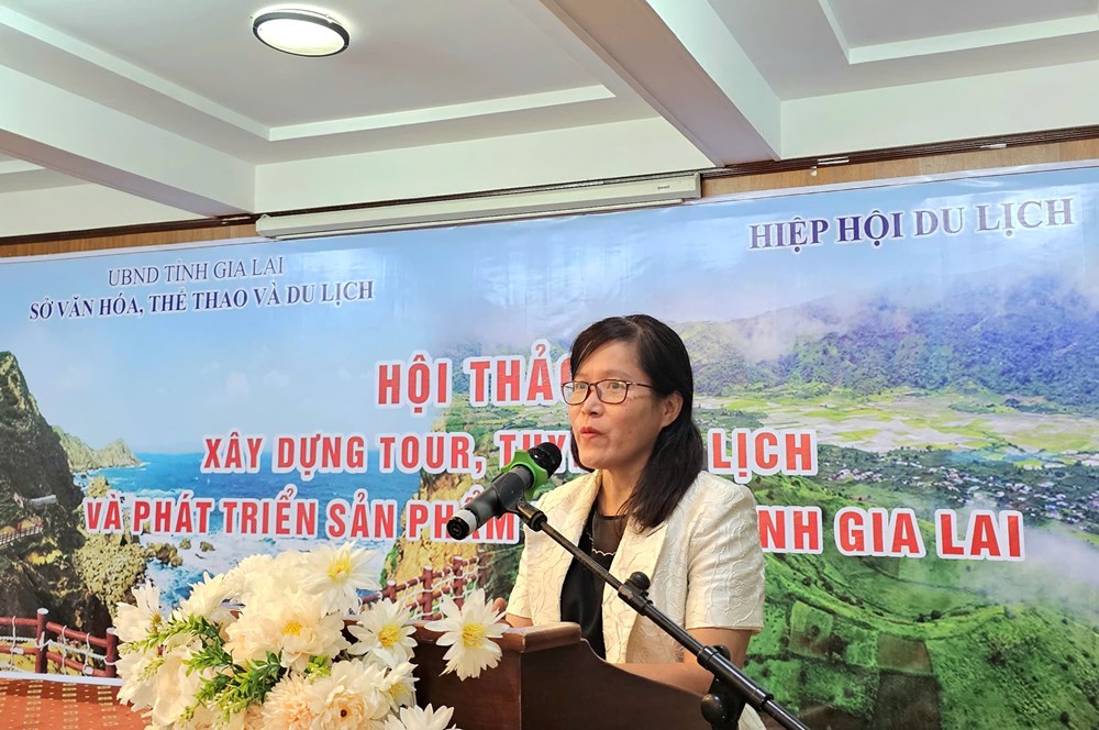 Gia Lai tìm giải pháp định hướng phát triển du lịch “rừng – biển” - ảnh 3