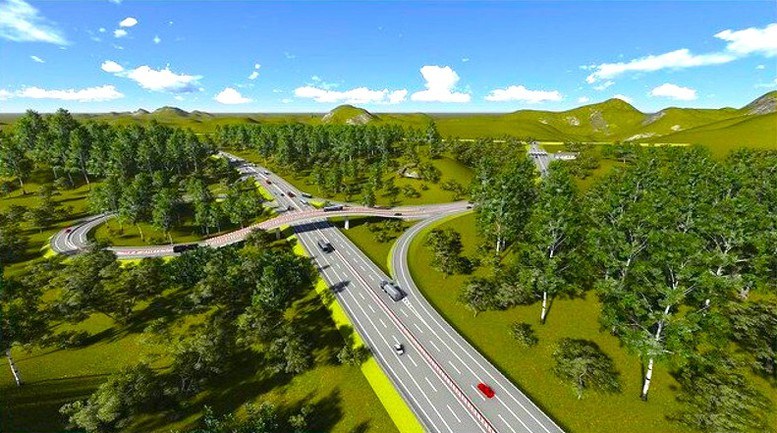 Gia Lai tháo gỡ vướng mắc để chuẩn bị khởi công cao tốc Quy Nhơn – Pleiku - ảnh 2