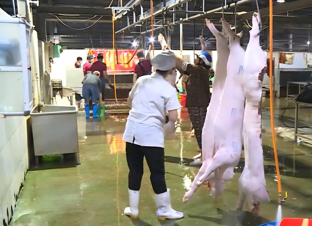 Tiểu thương gặp khó vì dịch tả lợn châu Phi - ảnh 1
