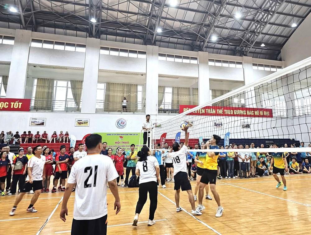Hơn 1.000 VĐV tham gia Hội thao chào mừng Đại hội đại biểu Đảng bộ tỉnh Gia Lai - ảnh 4