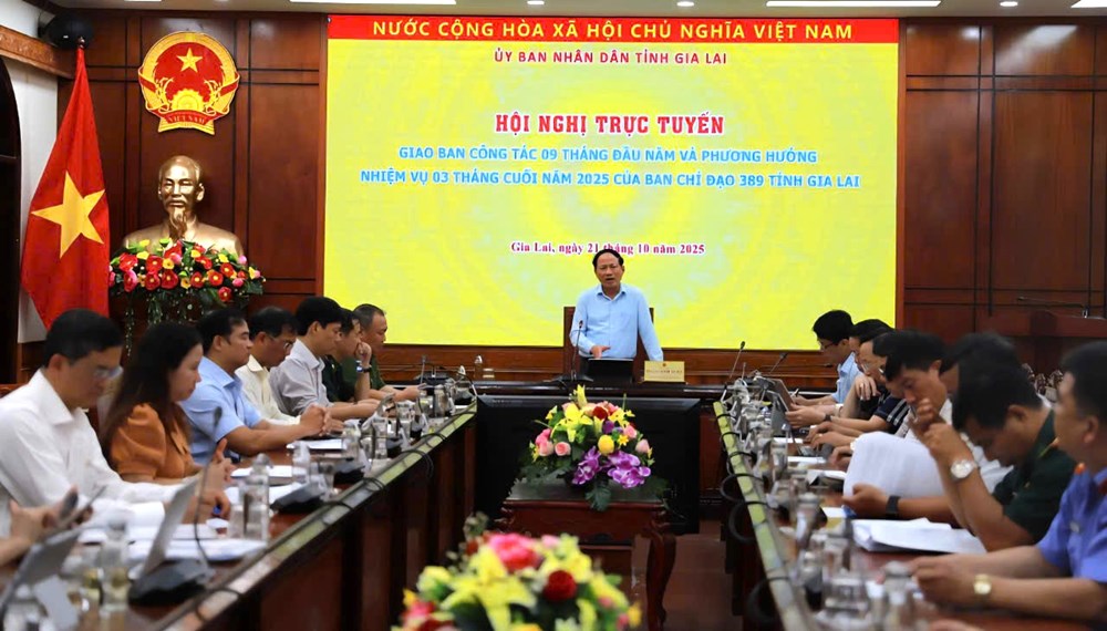 Gia Lai nộp ngân sách hơn 198 tỉ đồng từ truy thu thuế hàng giả, hàng lậu - ảnh 1