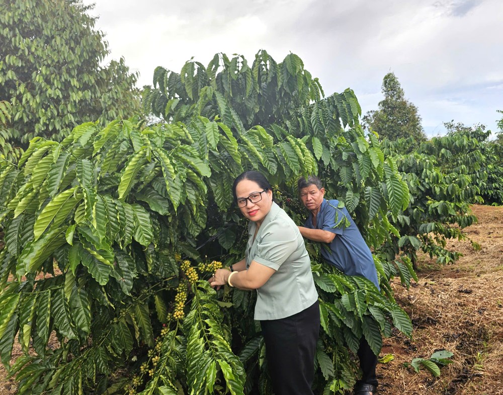 Lan tỏa phong trào “Dân vận khéo” ở miền biên viễn Đức Cơ  - ảnh 1