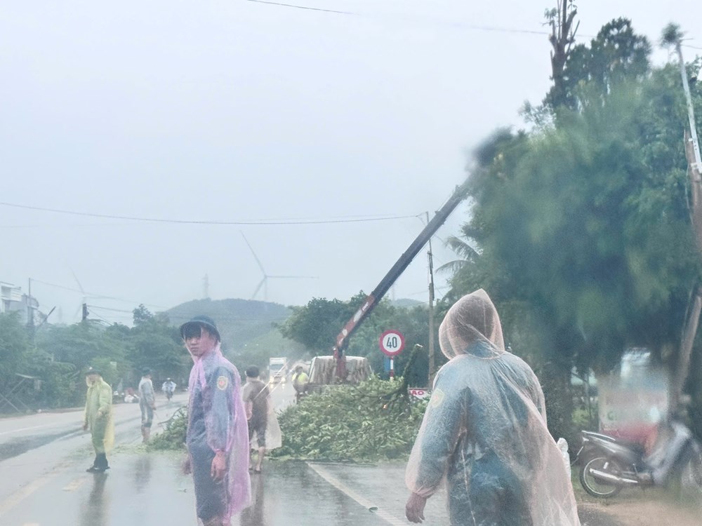 Trước giờ “G” bão số 13 đổ bộ vào Gia Lai - ảnh 8