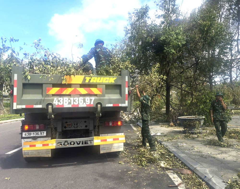 Dọn cho “viên ngọc xanh” lại sáng sau bão - ảnh 1